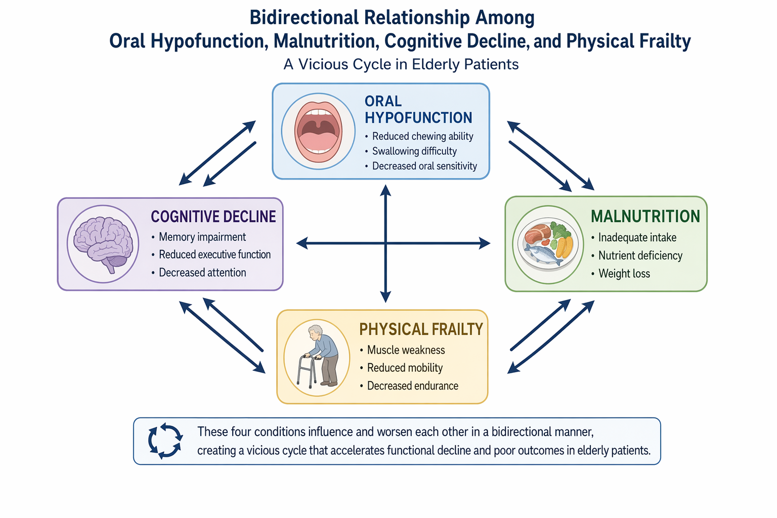 flowchart illustrating how reduced occlusal force leads to malnutrition, cognitive decline, and frailty in a feedback loop